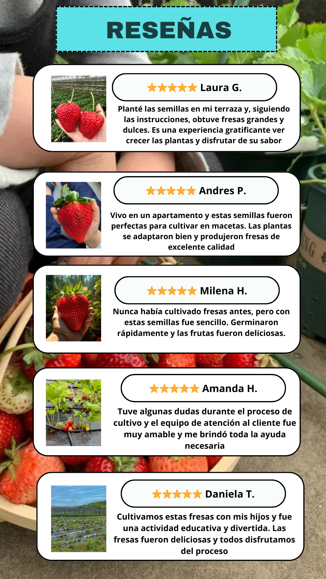 100-virgin-hair-1-piece-clip-in-hair-extensions-lsl